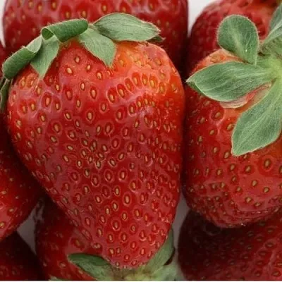 Клубника ФЛАМИНИЯ в Кирове