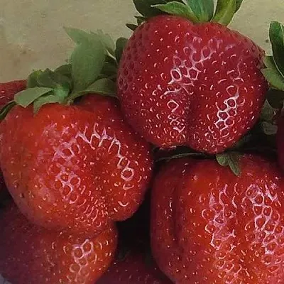 Клубника ДЕСТЕНИ в Кирове